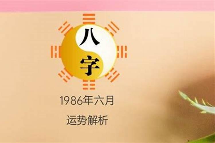 2024属狗的十一月份运势如何