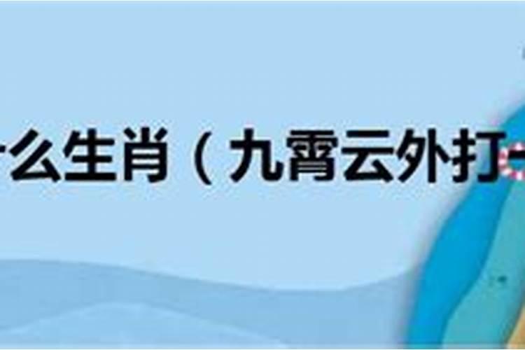 霄代表什么生肖？九霄云外是什么生肖打一生肖