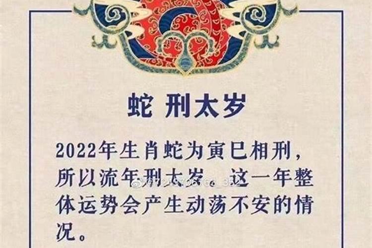 2021年属龙人犯小人吗