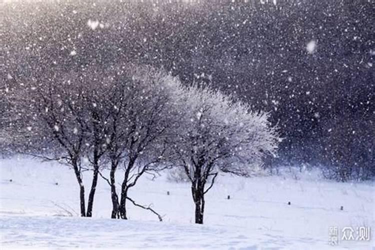 梦里飘雪，是什么意思？梦见外面下雨是怎么回事