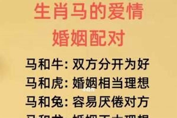 梦见女人送我吃的