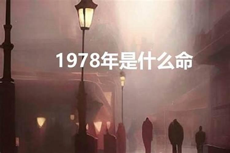 71年属猪人一生运程