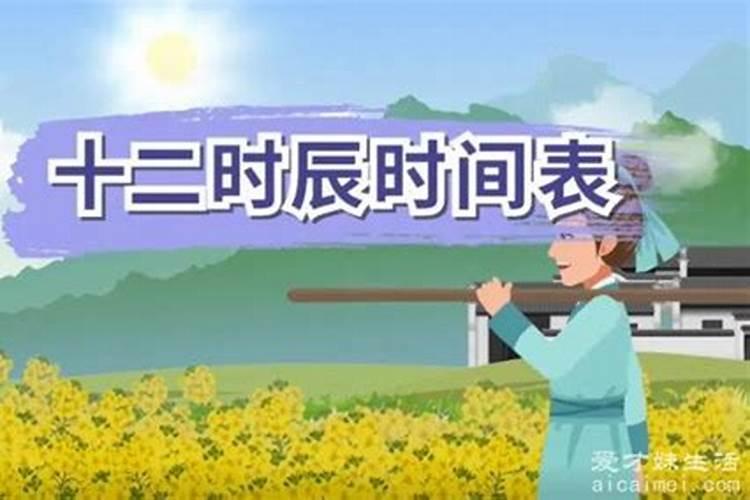 上午9点到11点出生的孩子属什么？属猪巳时出生的男孩什么命