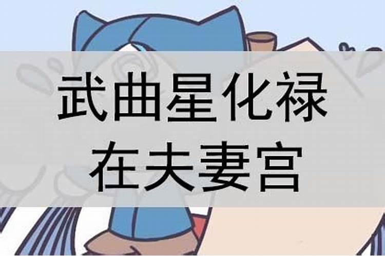 童子命的人生了小孩会怎样