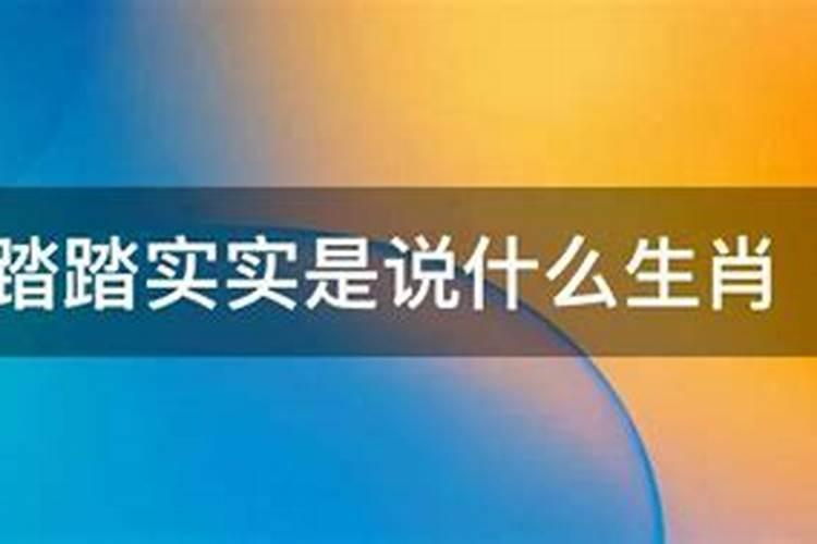 什么生肖踏踏实实