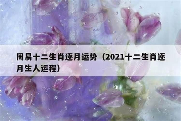 12生肖2022年运势大全周易