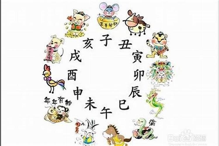 12生肖对应的数字