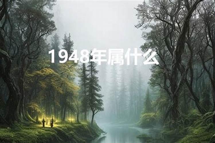 48年是属什么的年份？1948年属什么？