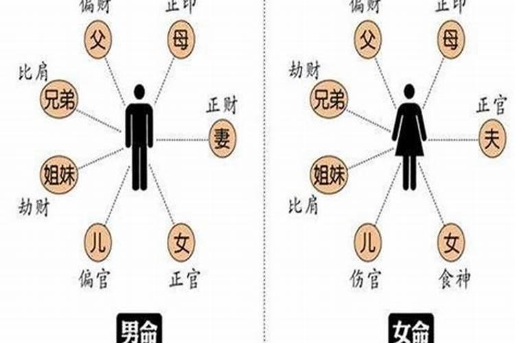 1979年属羊男2023年运势及运程