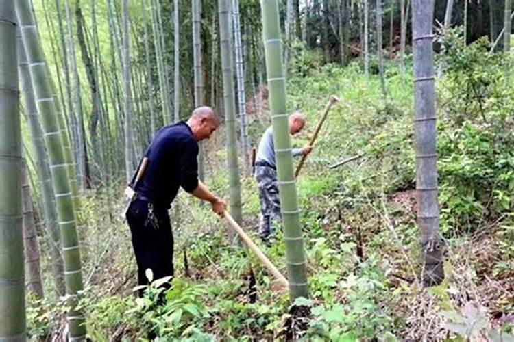 梦见朔料布把房子包起来了