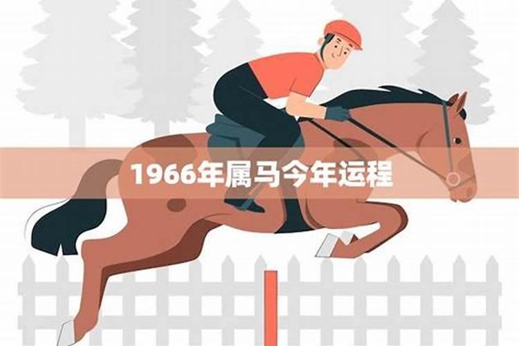 1966年出生属马的男性今年运势