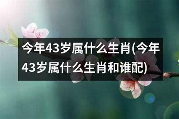 今年43周岁属什么？43今年岁属什么生肖的