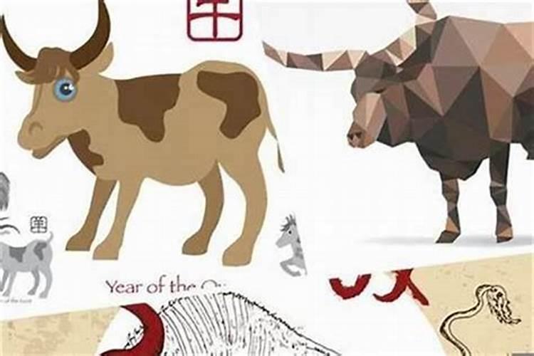 属马的运程今年怎么样了