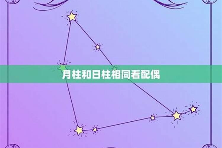 梦见老鼠咬自己是什么意思啊女生