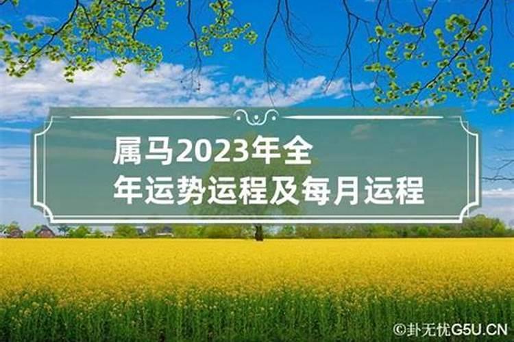 我查询我2023年的运势怎么样