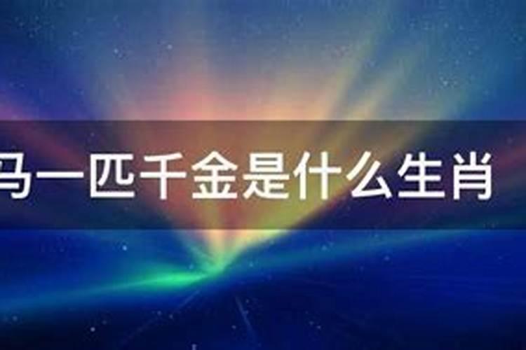 什么生肖是千金？千金指啥生肖