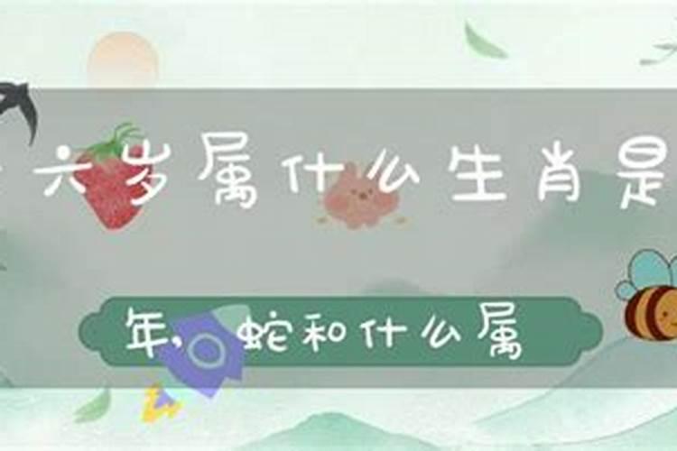 36岁属啥的生肖属相？36岁属什么