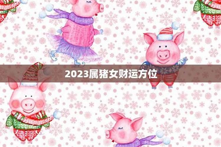 2023属猪运程如何