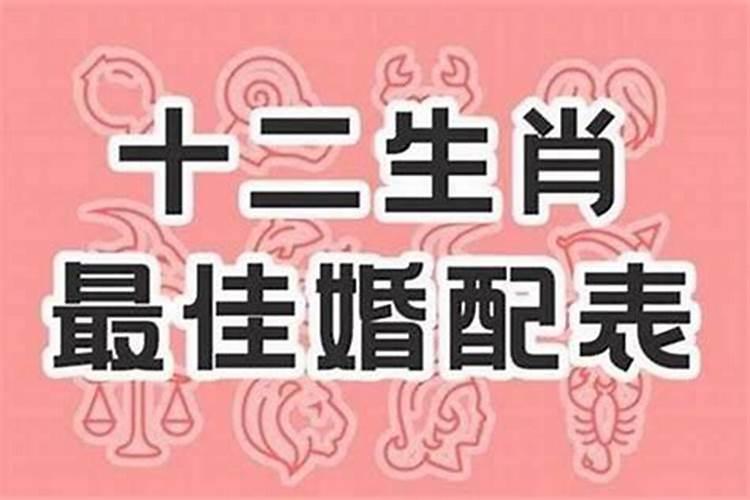 属虎和狮子座(生肖牛和虎相配吗婚姻如何)