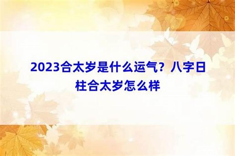 2021合太岁是什么意思