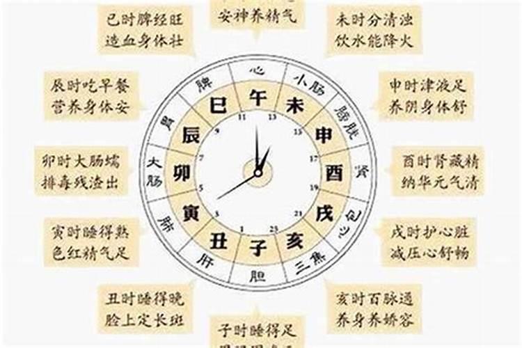 12生肖的时辰怎么排列？时间指什么生肖