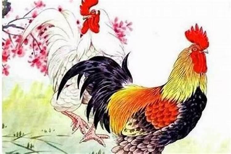 属鸡今年及家人运势如何