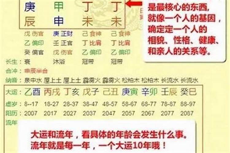 梦见狗向我走来和我很亲密