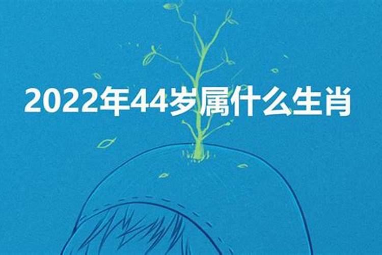 44岁哪年出生属啥的？今年44岁属什么生肖2023