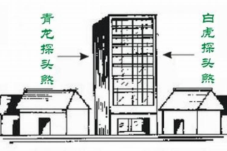 属兔跟属龙的人合不合