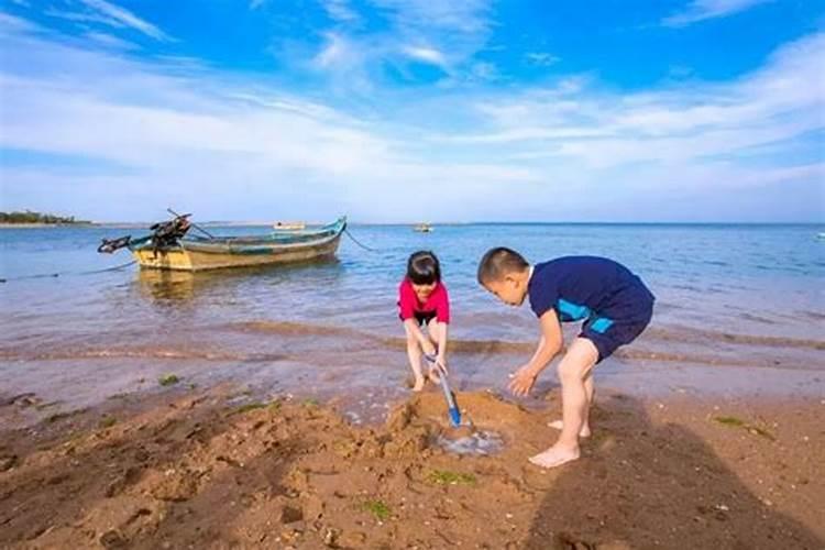 梦到去海边赶海（梦到去海边赶海什么意思）