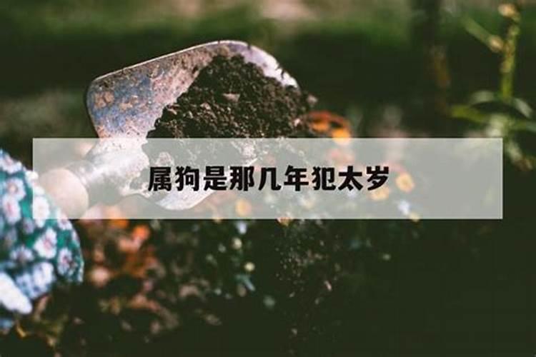 白羊座和狮子座是绝配吗