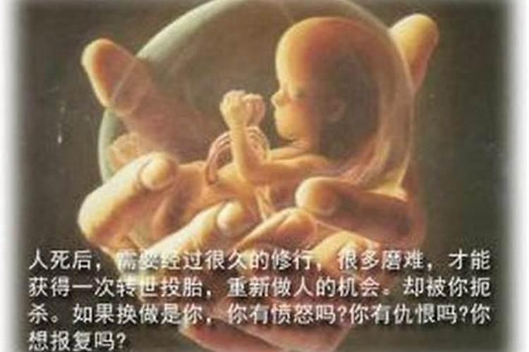 如何和堕胎婴灵沟通