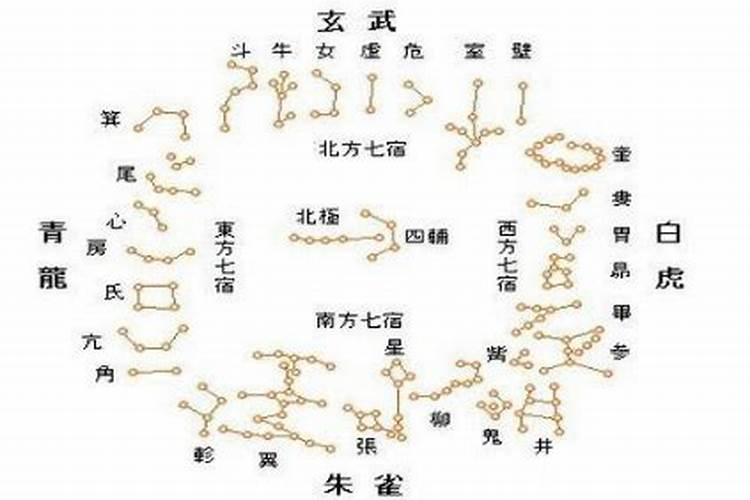 鼠日冲马是什么生肖？老鼠的生肖和什么生肖相冲