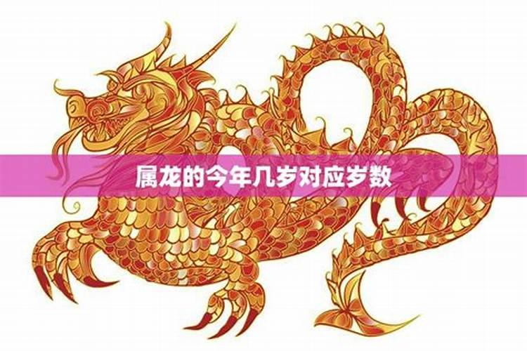 属龙几岁2023？生肖龙今年几岁