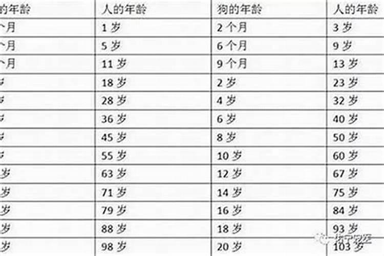 梦到孕妇大肚子快生了被打