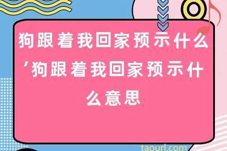 邻居家的狗跟着我回家是什么意思啊？狗跟着人回家什么预兆但把它甩了