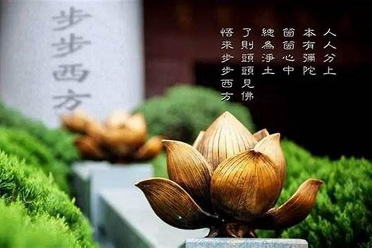 8月16日是什么星座阳历