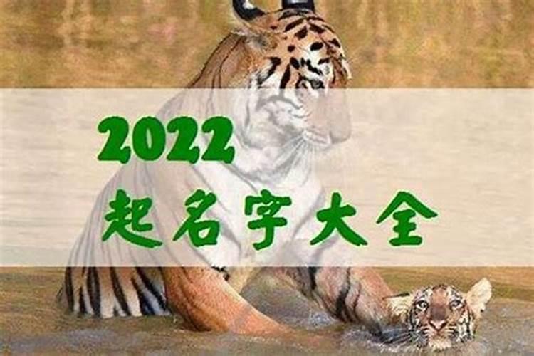 属虎的2023年为什么不顺？芒种是代表什么生肖