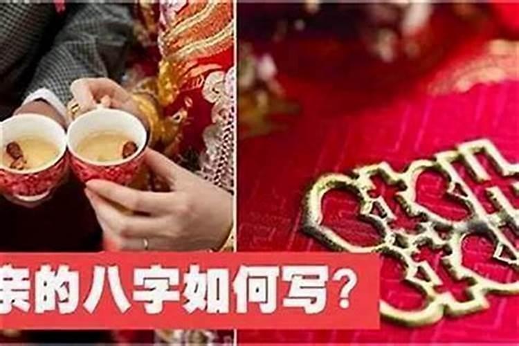 马和猪婚姻匹配吗