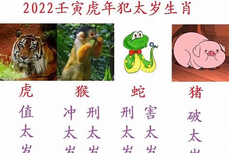 2022年虎年太岁属猪