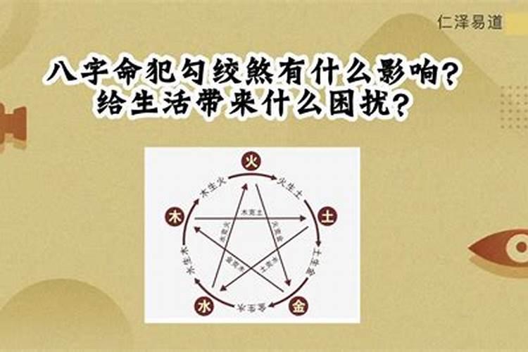 1981年农历12月25日的命运