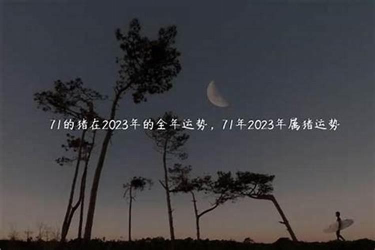 77年属蛇女命2023年运程