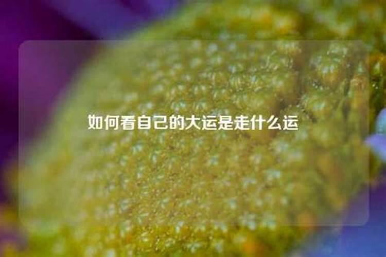 梦见怀孕被蛇咬了是什么征兆女性