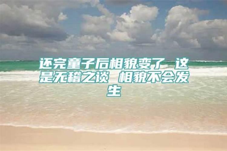 2023清明节是哪一天机票燃油附加费下调