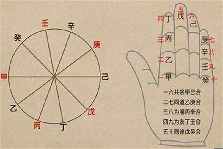 1971年正月初八生人一生运势如何