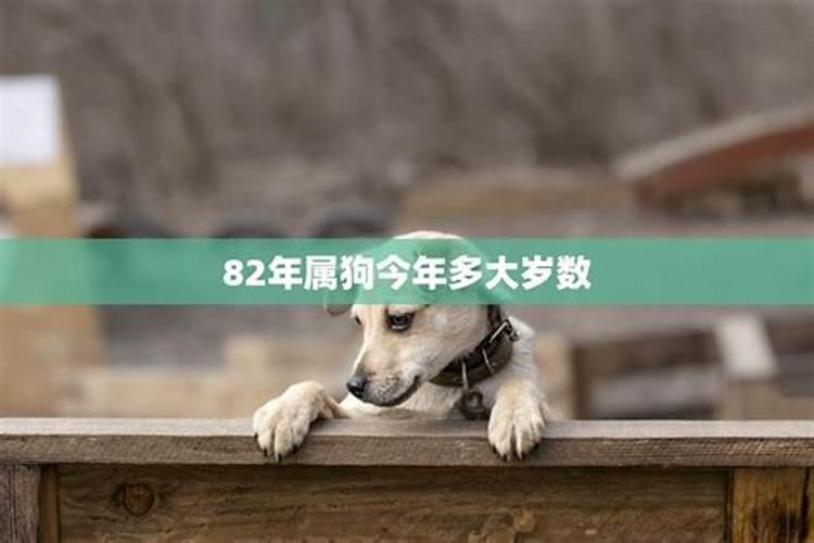 2023年84岁属相是什么生肖？今年八十一岁属什么生肖