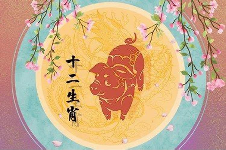 六九年女鸡今年运气