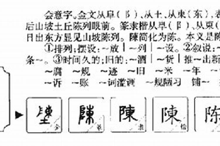 陈五行属什么