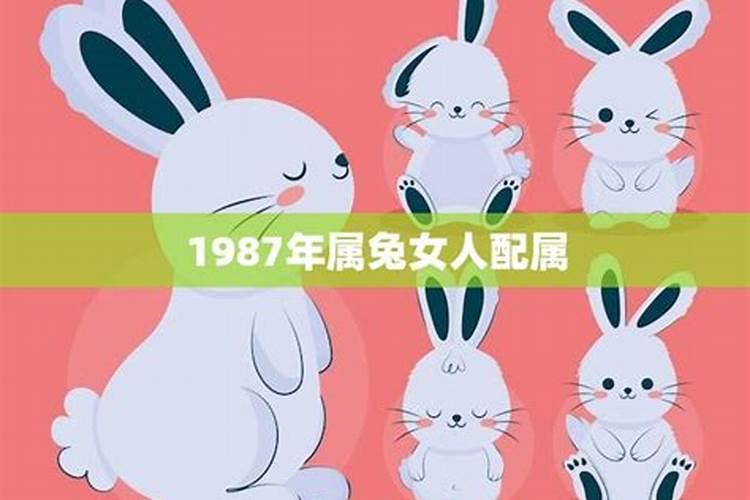 1987年属兔的女人运势如何