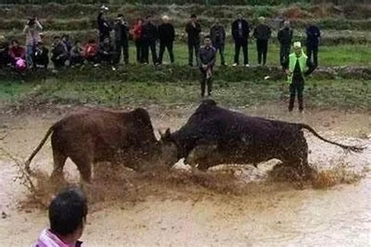 湖南常德中元节祭祖的风俗